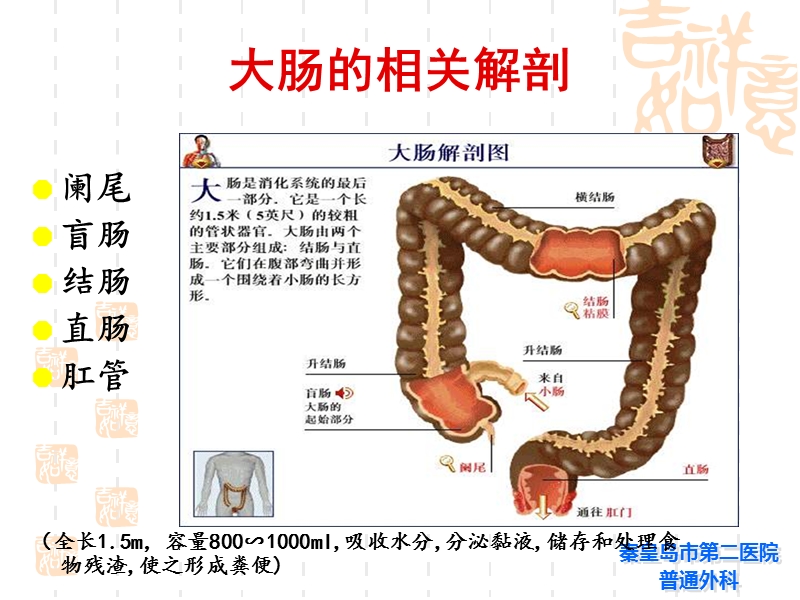 大肠癌围手术期护理-王祎波.ppt_第3页