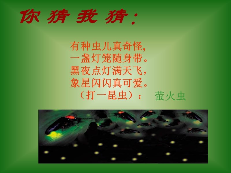 【初一语文】绿色蝈蝈(精美版).ppt_第1页