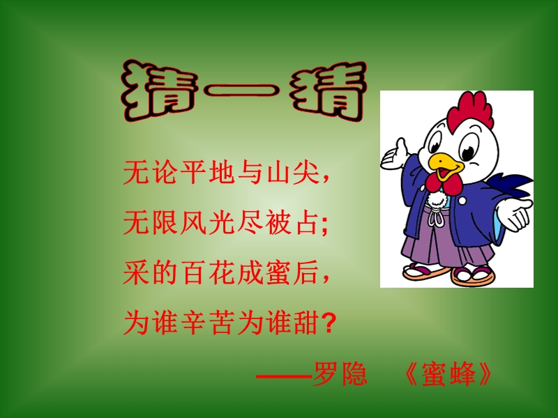 【初一语文】绿色蝈蝈(精美版).ppt_第3页