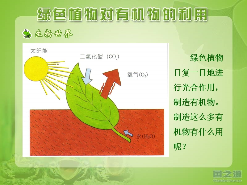 [初一理化生]绿色植物对有机物的利用.ppt_第2页