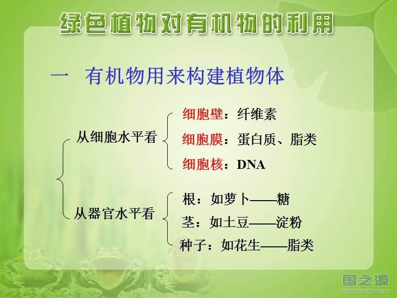 [初一理化生]绿色植物对有机物的利用.ppt_第3页