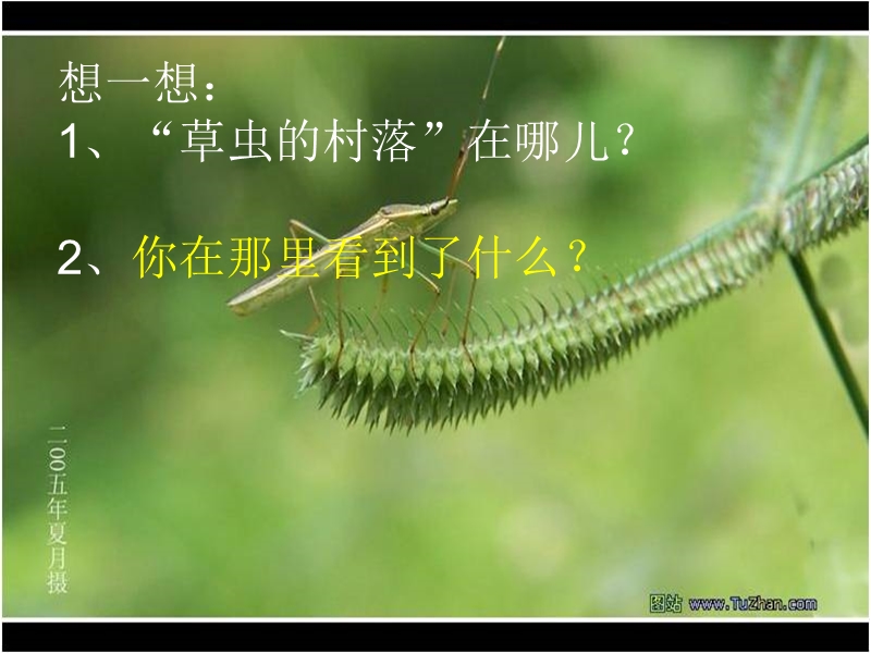 虫草的村落.ppt_第3页