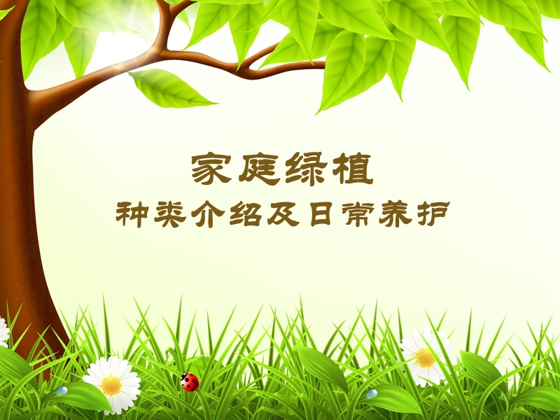 家庭绿植的日常养护.ppt_第1页