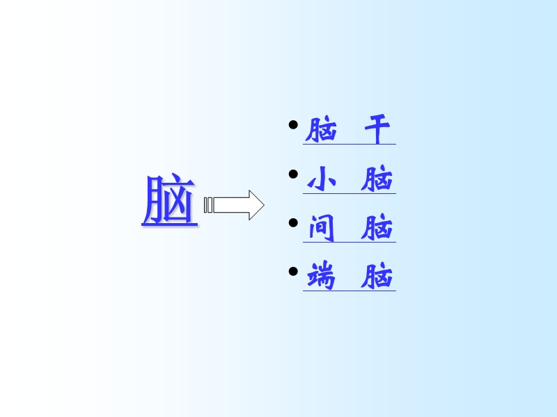 中枢n系统-脑干.ppt_第2页