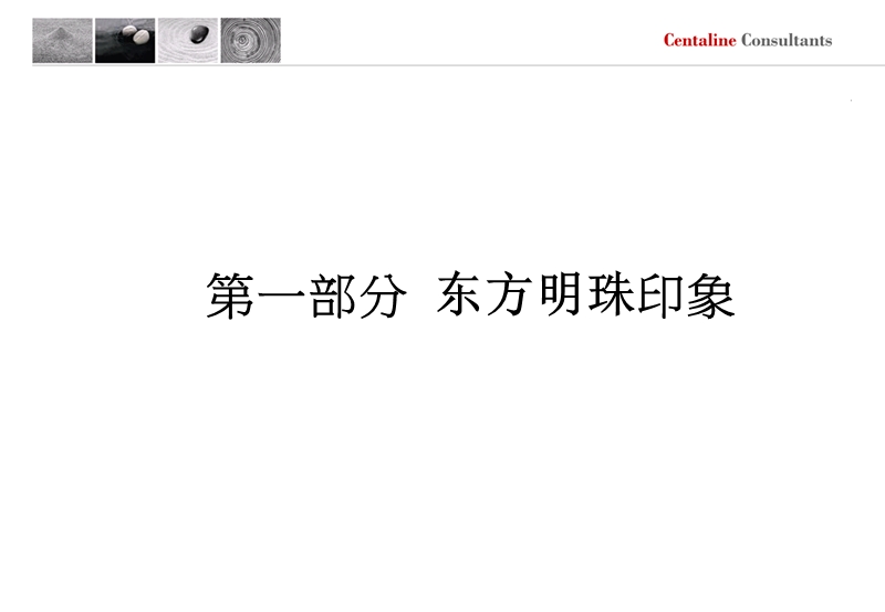 长沙东方明珠地产项目营销策略报告-144ppt-2008年.ppt_第2页