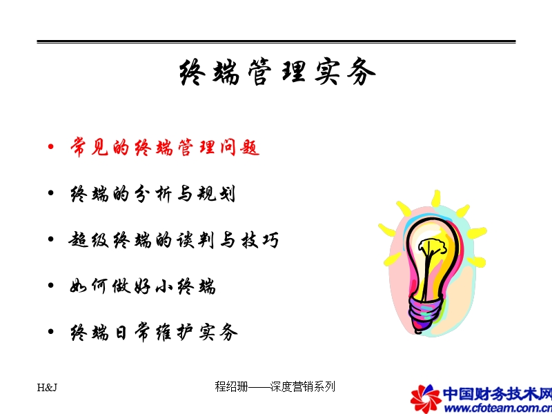 终端开发运作实务.ppt_第2页