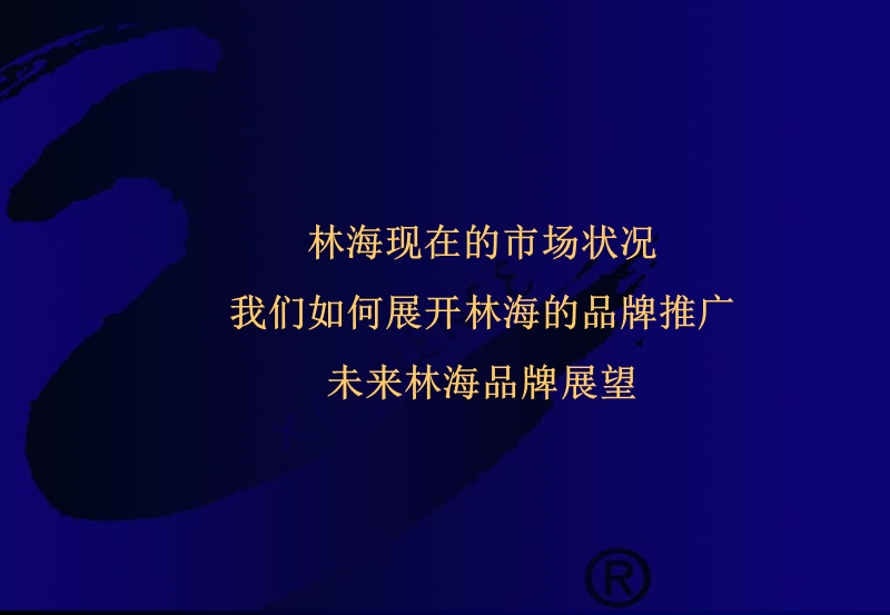 摩托品牌传播规划.ppt_第2页