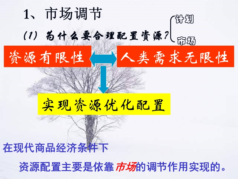 高一经济生活市场配置资源课件.ppt_第2页