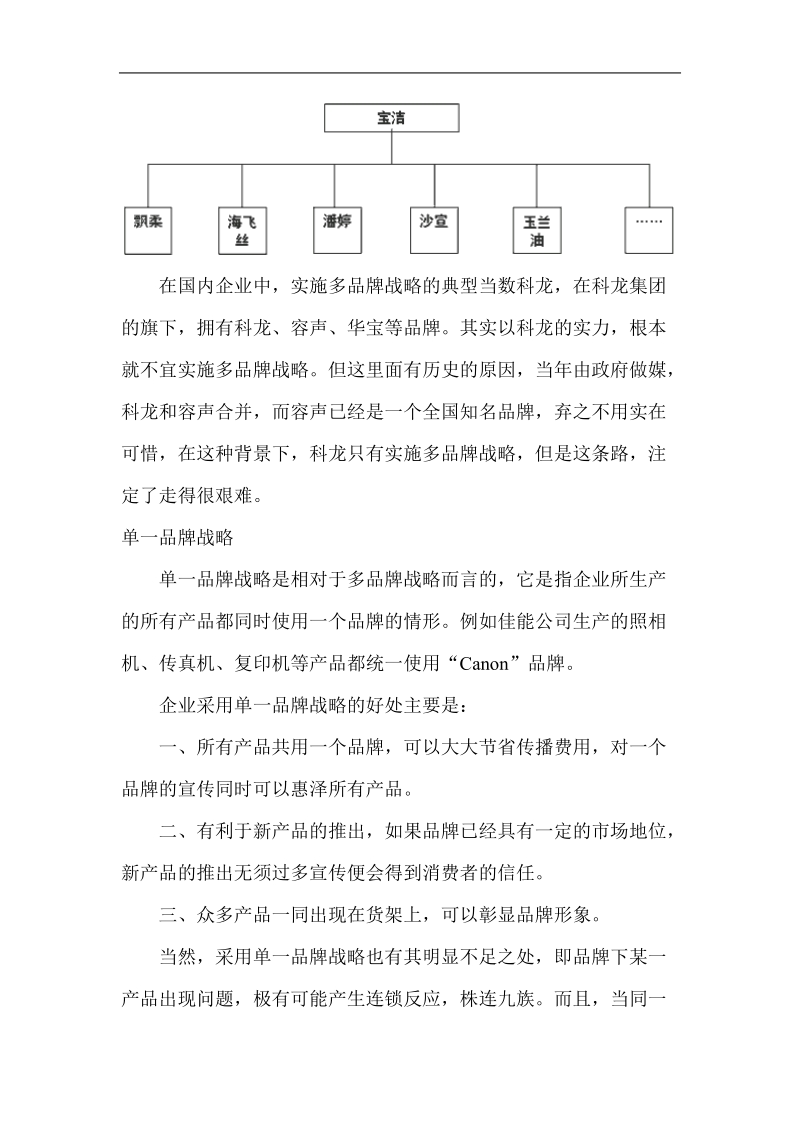 思路决定出路——品牌战略规划(doc15).doc_第3页