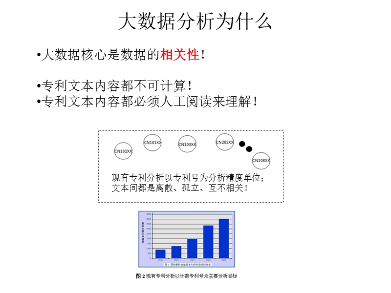 大数据与专利挖掘(精品文档).ppt_第2页