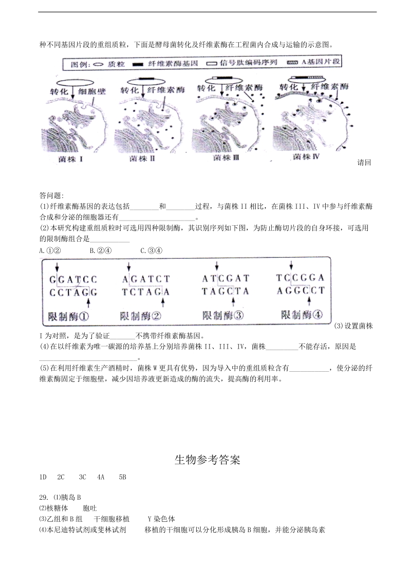 2017年北京市房山区高三第一次模拟生物试题 =.doc_第3页