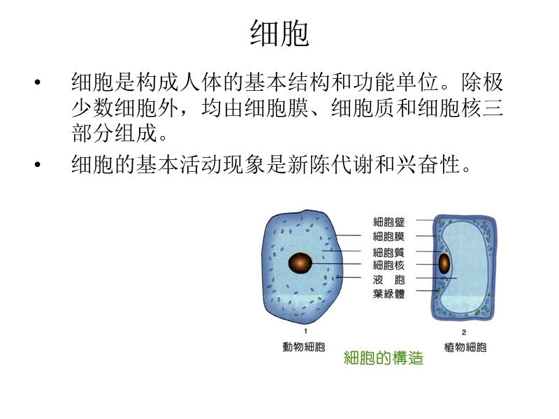 第2章 医学基础 copy.ppt_第3页