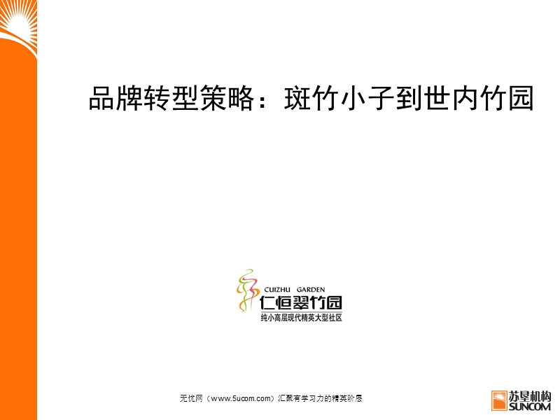 某品牌转型策略案例分析.ppt_第1页