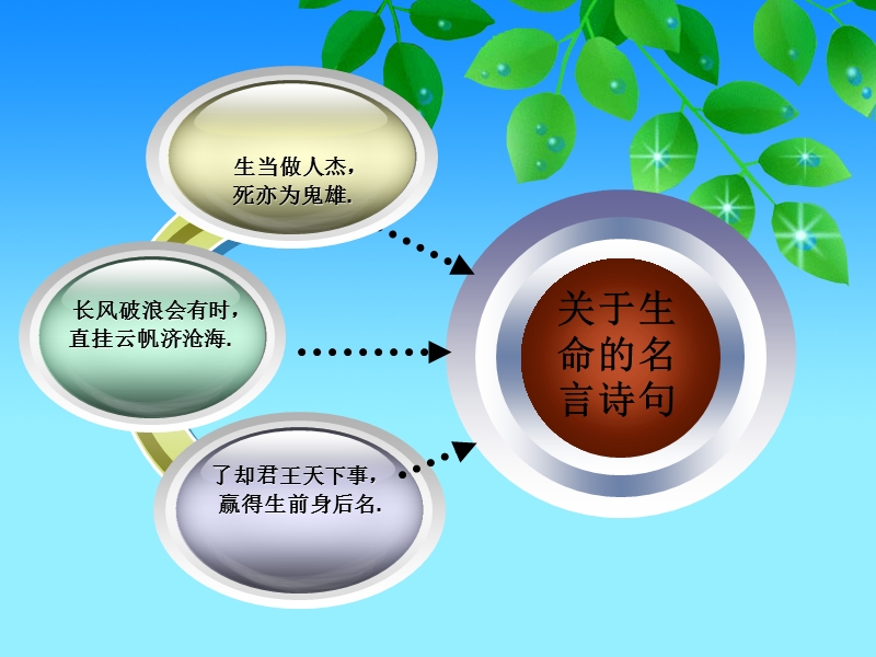 《谈生命》.ppt_第3页