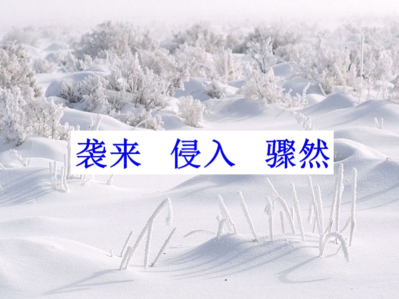 《瑞雪图课件.ppt_第3页