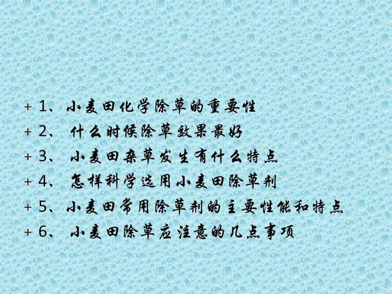 小麦的化学除草—李曙辉.ppt_第2页