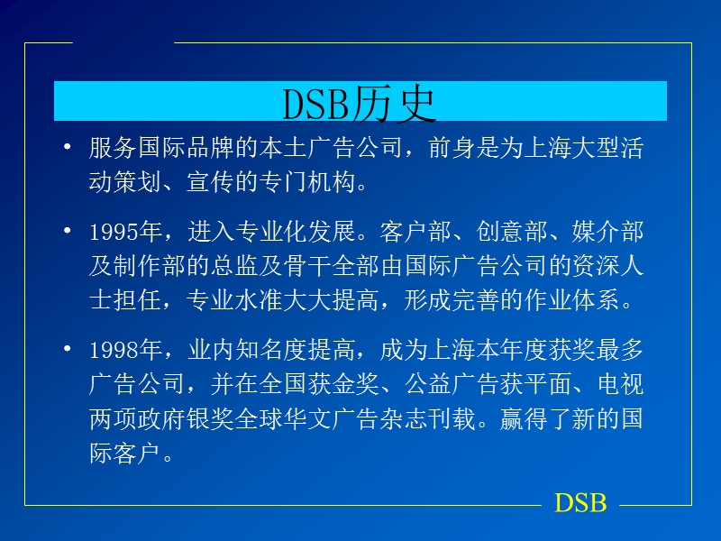 新天葡萄酒三年品牌规划纲要(ppt23).ppt_第2页