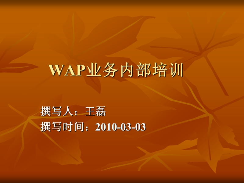 wap业务线培训.ppt_第1页