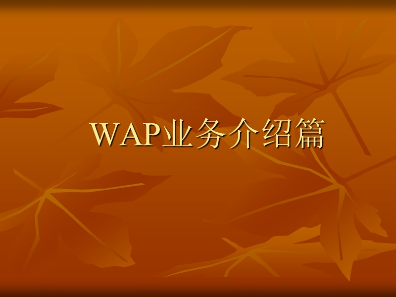 wap业务线培训.ppt_第3页