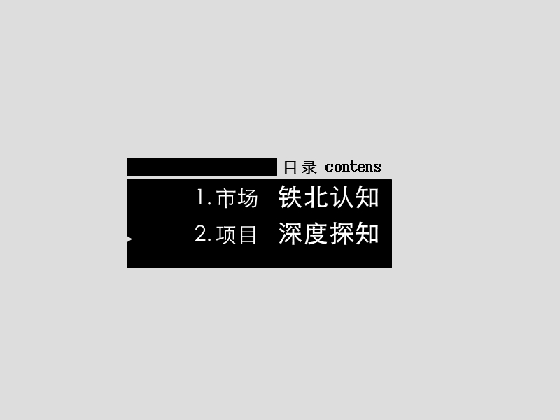 长春天润-嘉元地产项目营销市场报告-32ppt-2008年.ppt_第2页