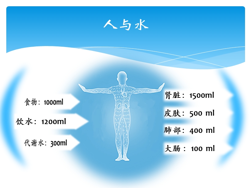 干体重的认识office.ppt_第2页