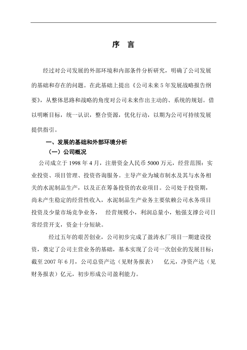 某控股公司发展策略规划报告.doc_第2页