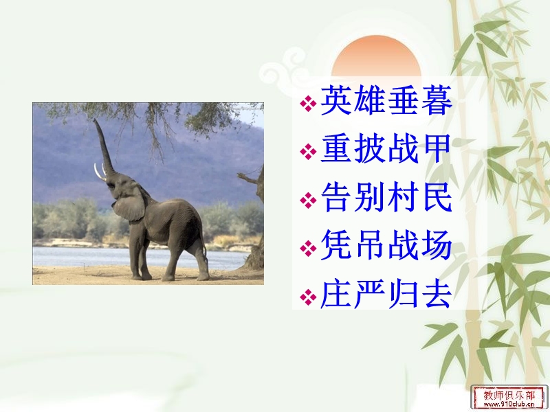 最后一头战象.ppt_第2页