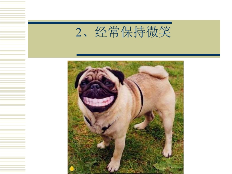 快乐的十九种技巧.ppt_第3页