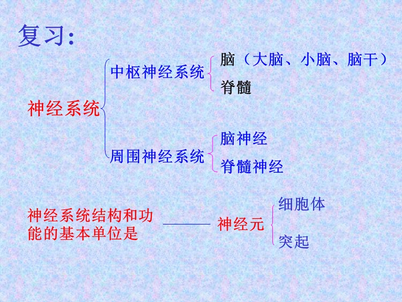 【初一理化生】神经调节的基本方式.ppt_第3页