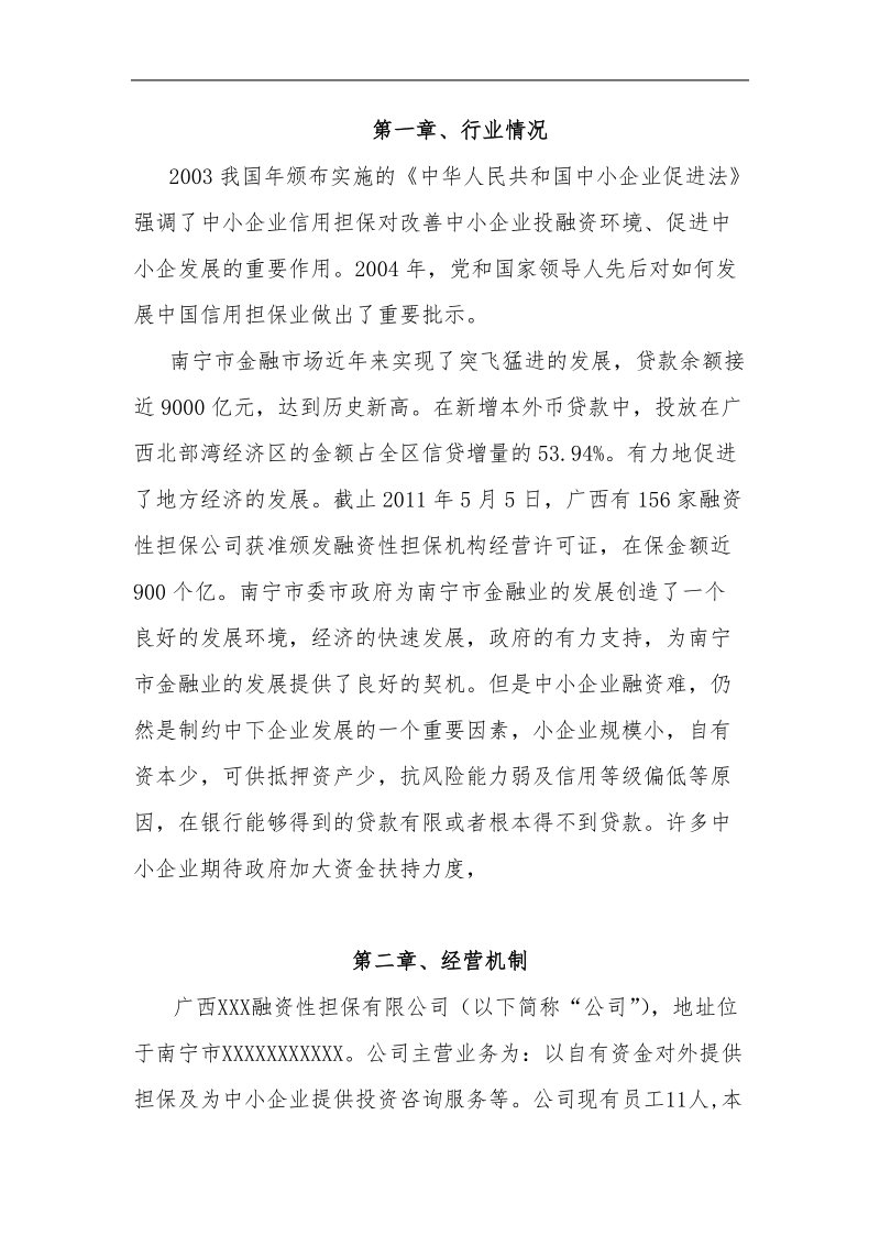 广西某融资担保公司经营发展策略规划.doc_第3页