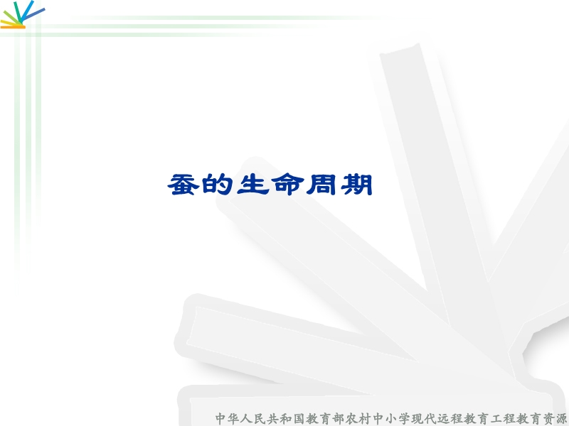 蚕的生命周期.ppt_第1页