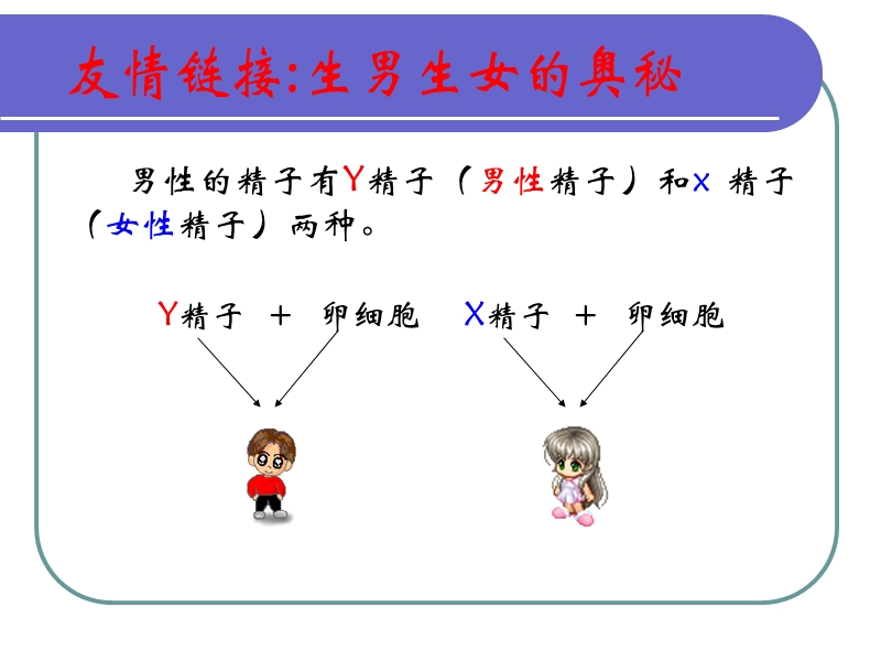 【初一理化生】32新生命的诞生(二).ppt_第2页