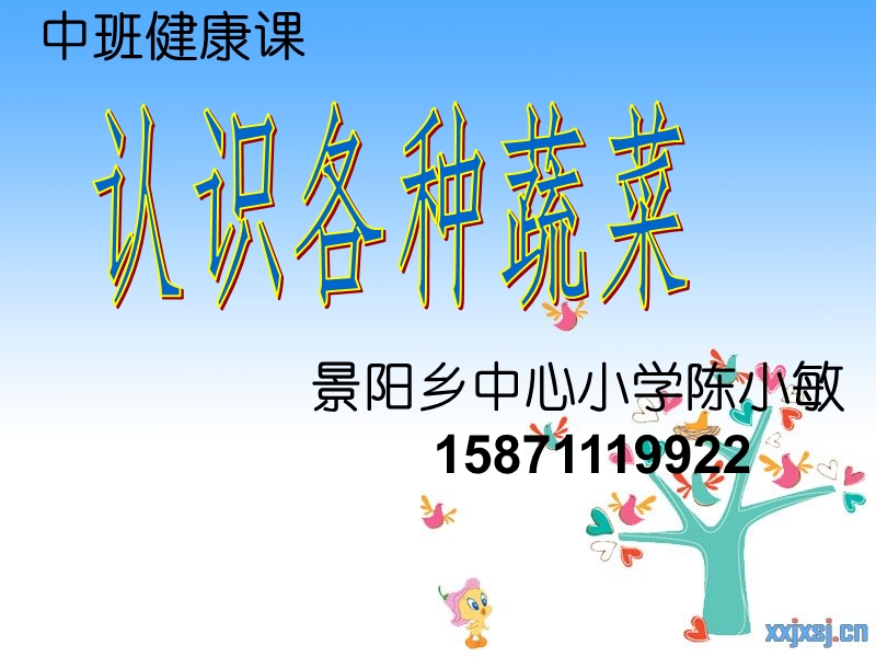 认识各种蔬菜.ppt_第1页