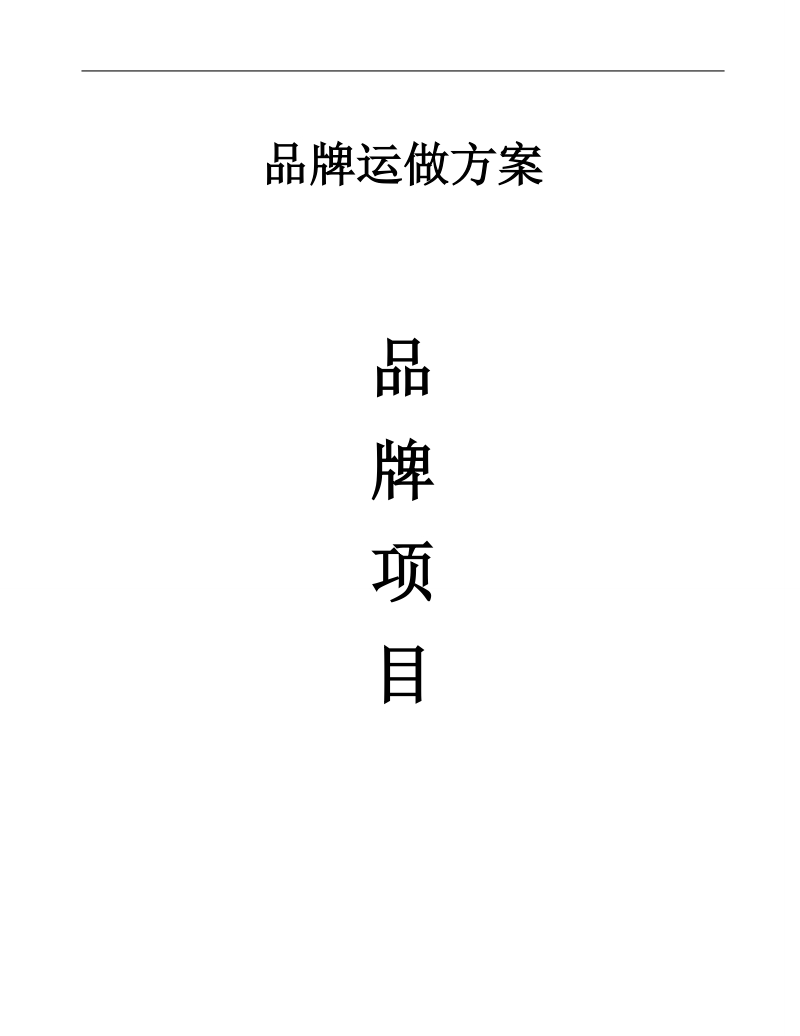 品牌运做方案.doc_第1页