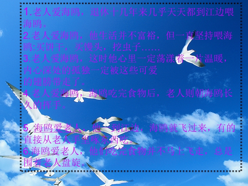 老人与海鸥的故事.ppt_第3页