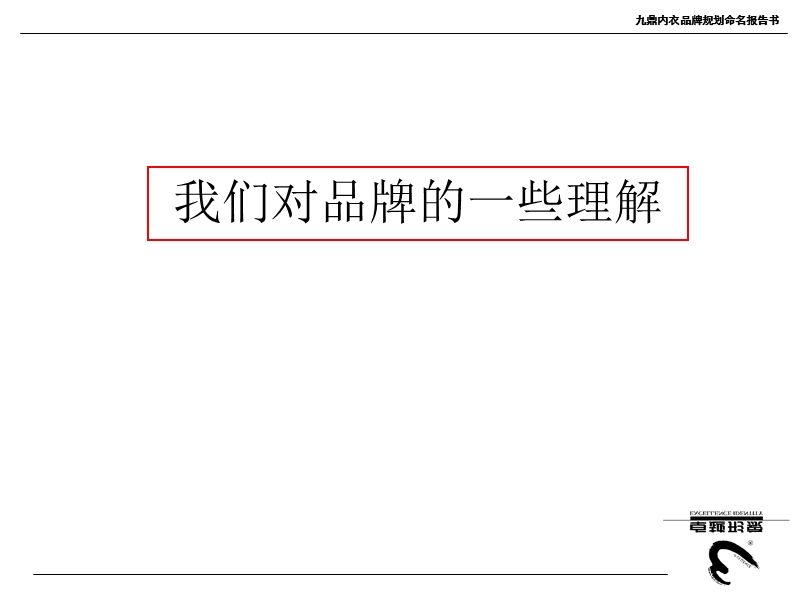 品牌规划报告书.ppt_第2页