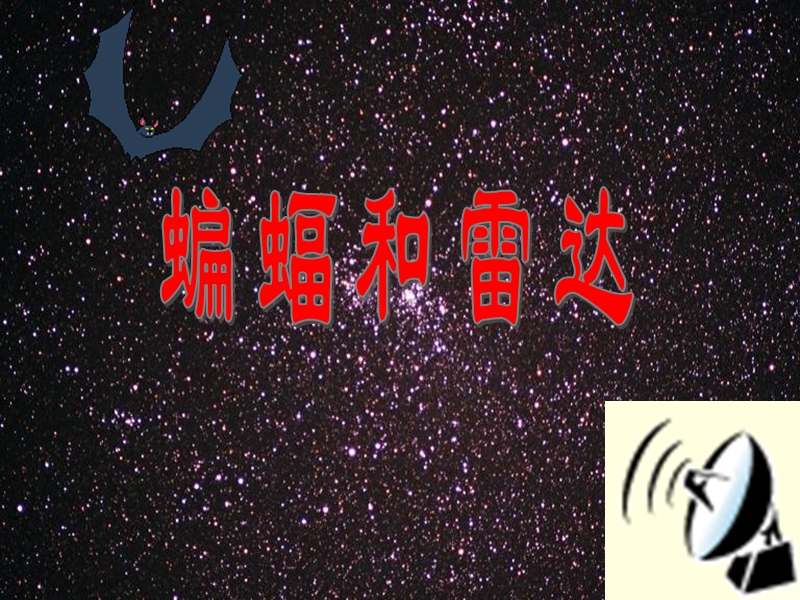 《蝙蝠和雷达》教学课件1.ppt_第1页