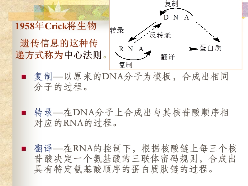 核酸蛋白质的生物合成.ppt_第2页