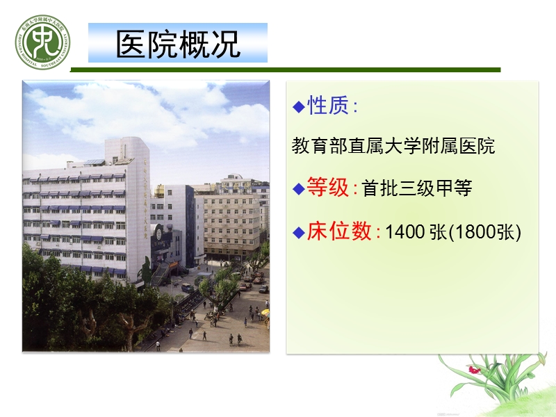 新护士与专业价值.ppt_第2页