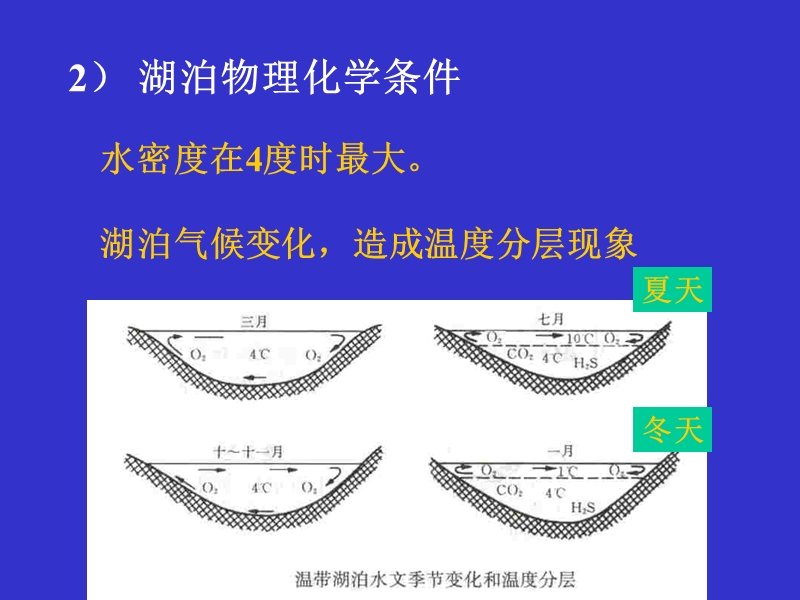 沉积岩-湖泊沉积相讲课.ppt_第2页