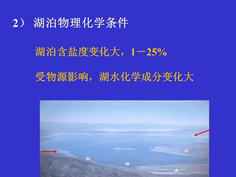 沉积岩-湖泊沉积相讲课.ppt_第3页