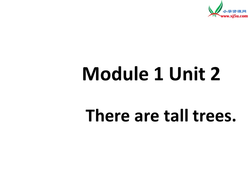 2015-2016学年五年级英语课件：module+1+unit+2《there+are+tall+trees+now》3（外研版一起上册）.ppt_第1页