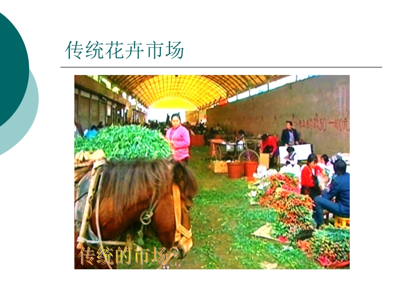 昆明国际花卉交易拍卖中心.ppt_第2页