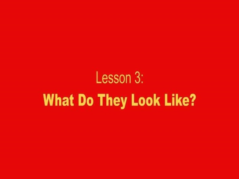 五年级英语上册 unit1 lesson 3 what do they look like课件 冀教版（三起）.ppt_第1页