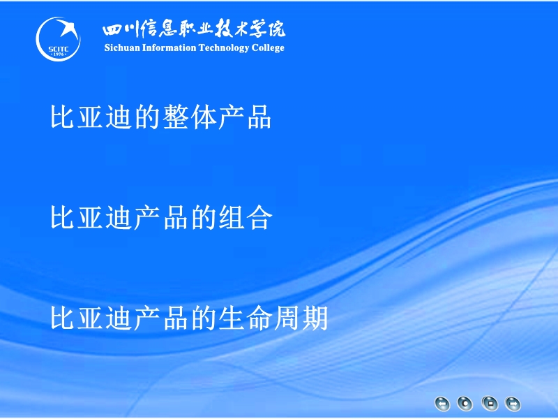 比亚迪汽车在中国市场的产品策略.ppt_第2页