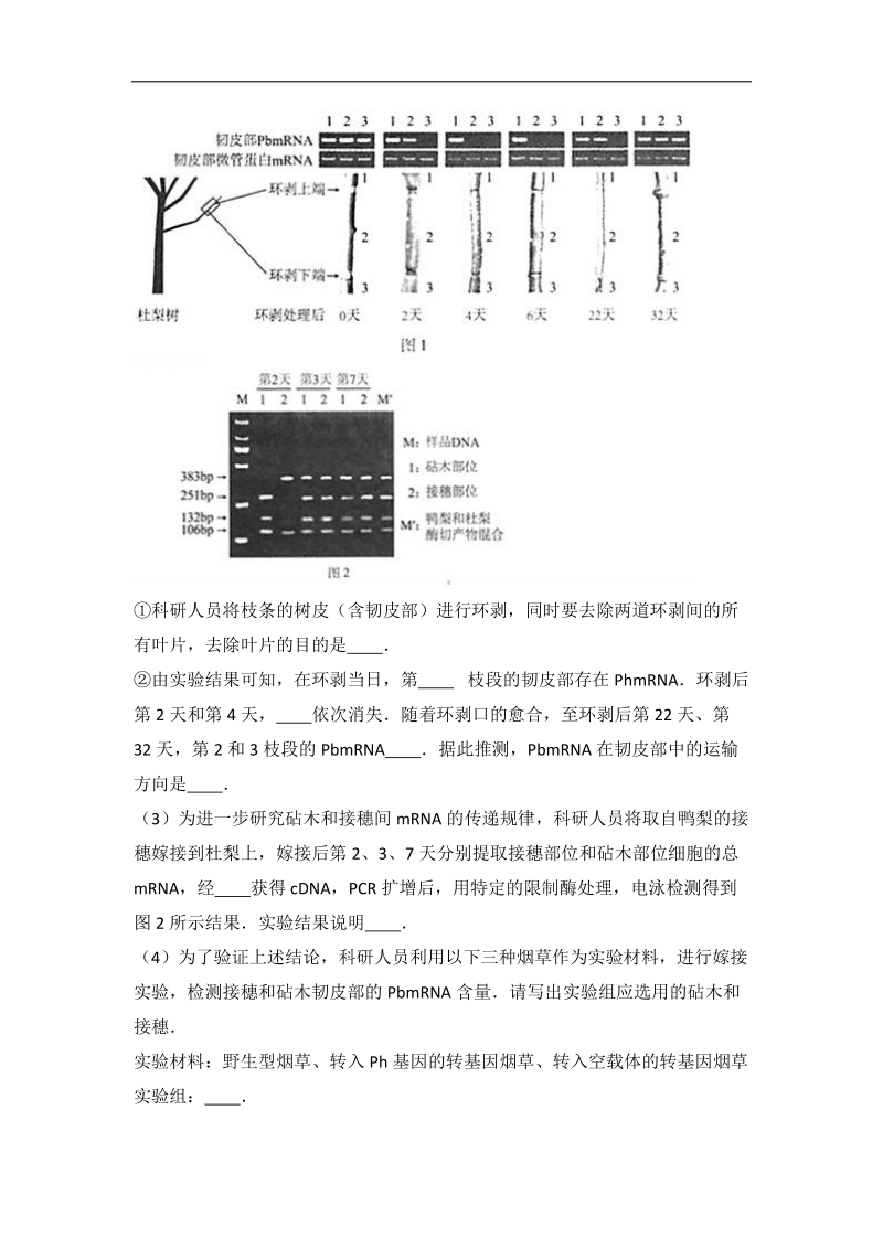 2017届北京市海淀区高考生物二模试卷（解析版）.doc_第3页