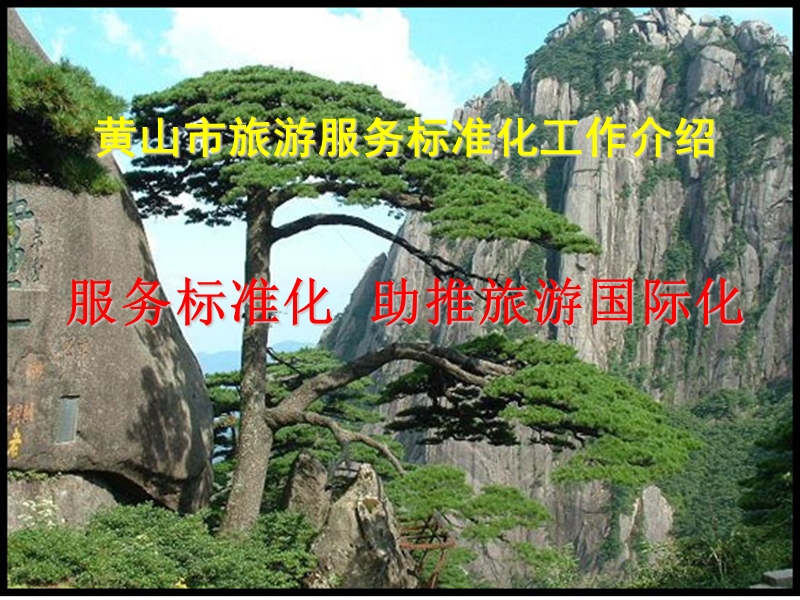 旅游服务标准化汇报.ppt_第1页