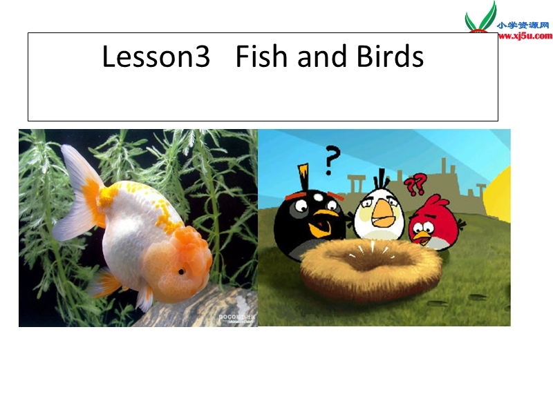 三年级英语下册 unit 1 lesson3 fish and birds课件 冀教版（三起）.ppt_第1页