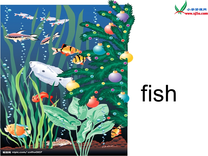 三年级英语下册 unit 1 lesson3 fish and birds课件 冀教版（三起）.ppt_第2页