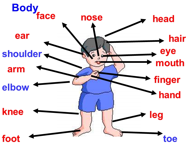 冀教版（一起）五年级英语上册课件 unit 2 lesson 13(1).ppt_第3页